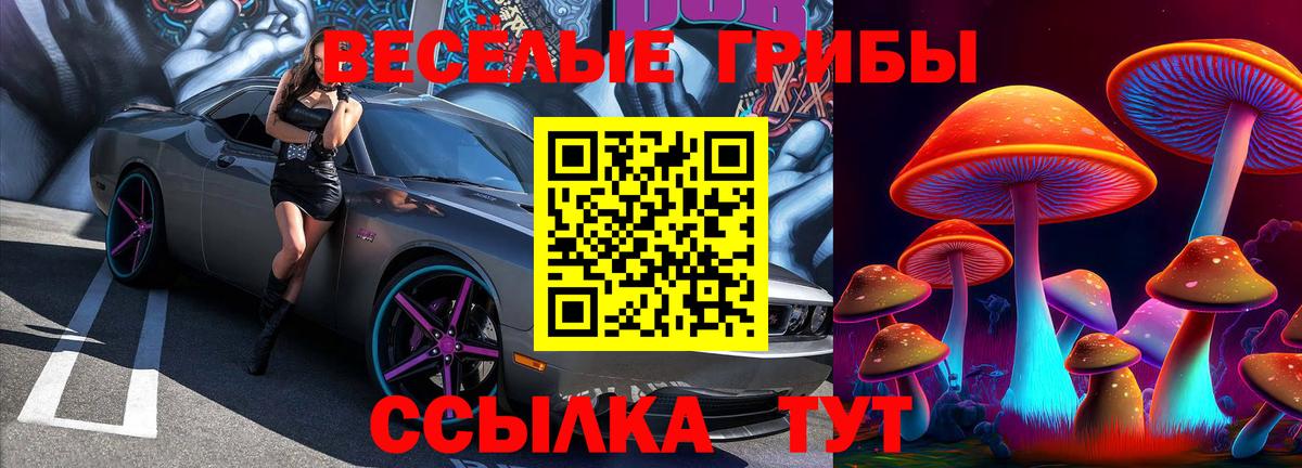 Комсомольск-на-Амуре  Псилоцибиновые грибы прущие грибы  Вход с VPN  Псилоцибиновые грибы Psilocybine cubensis 